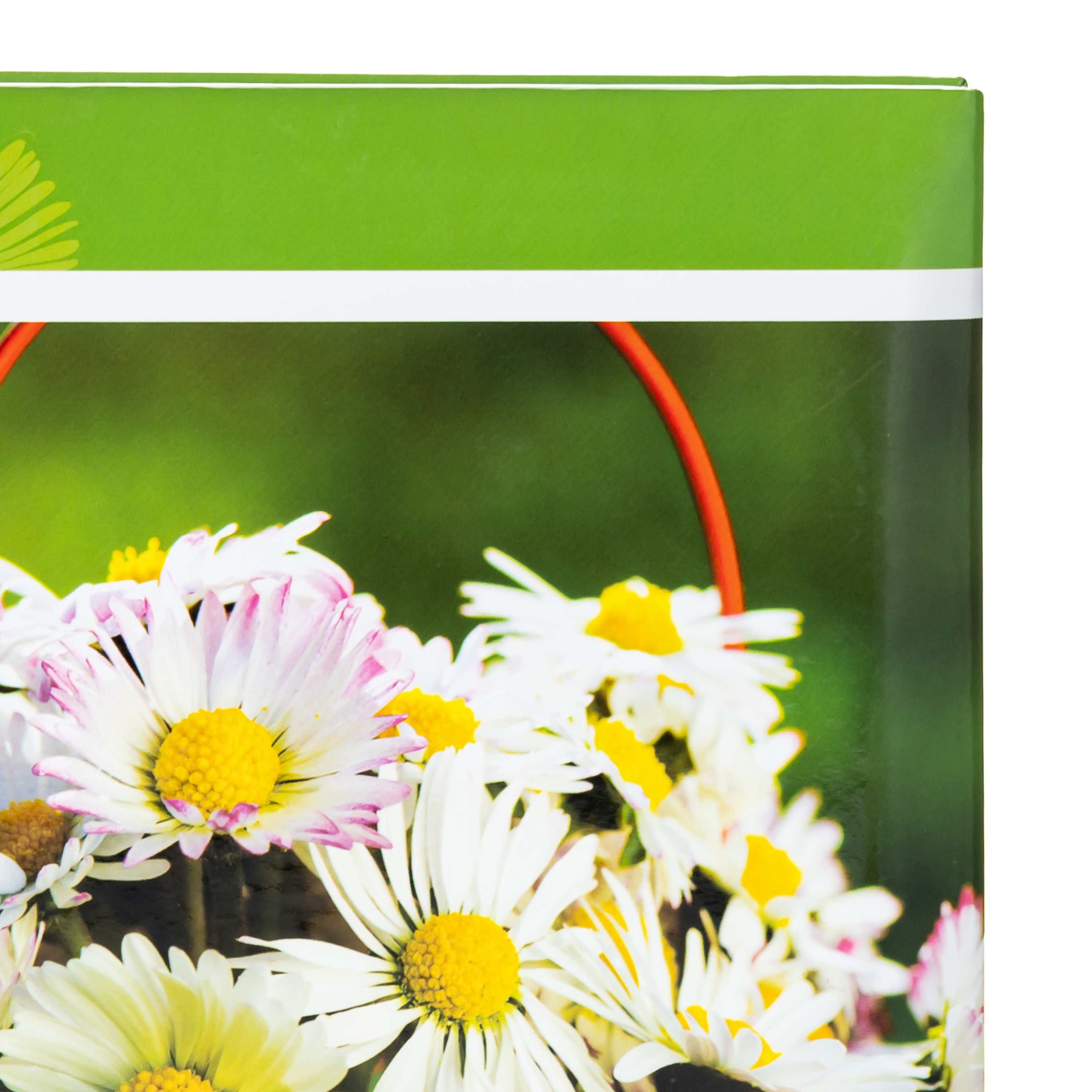 Фотоальбом Fotografia 10x15 см 200 фото, книжный переплет, «Цветы», FA-BBM200-310