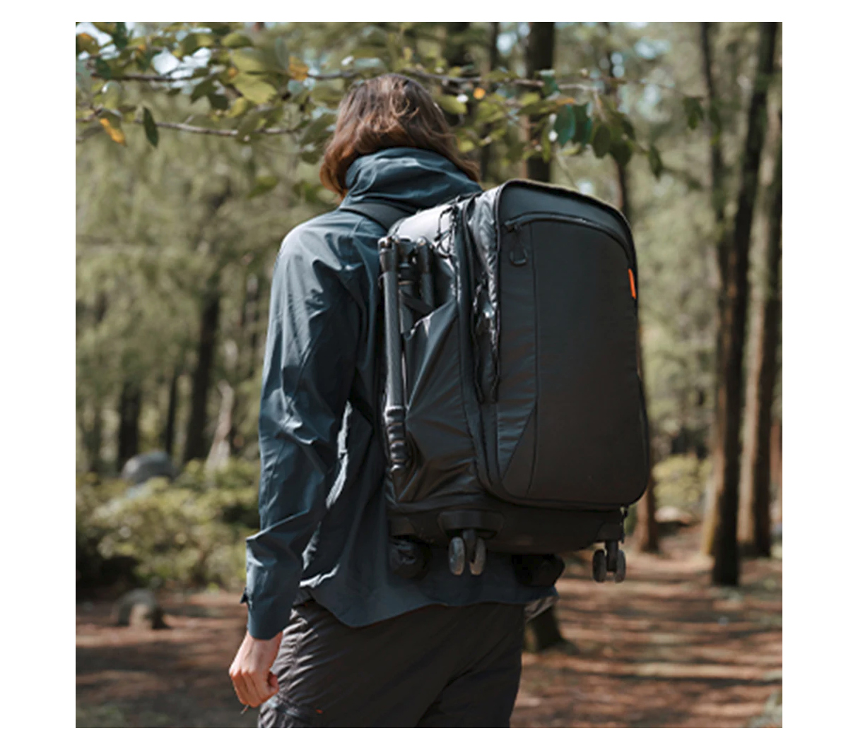 Сумка на колесах PGYTECH Roller Camera Backpack + рюкзак 2 в 1