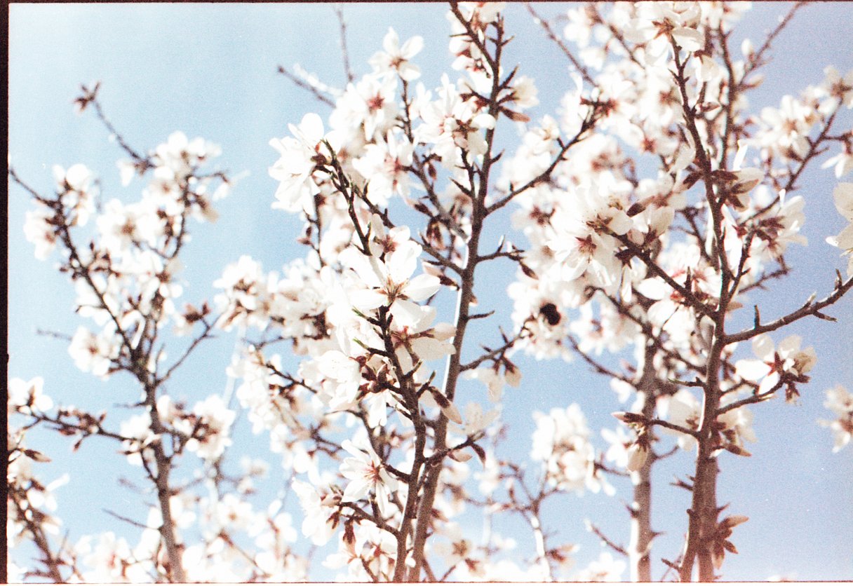 Фотопленка Lomography Lomochrome Metropolis XR 100-400 ISO, 135/36