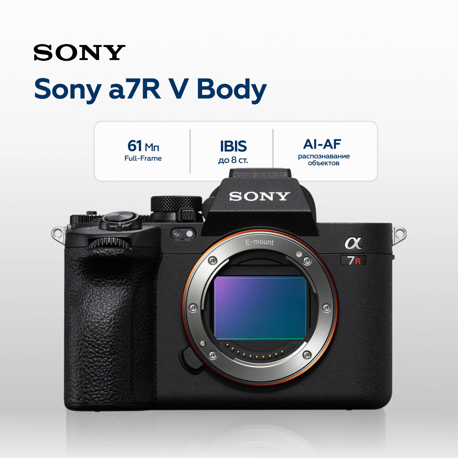 Беззеркальный фотоаппарат Sony Alpha a7R V Body