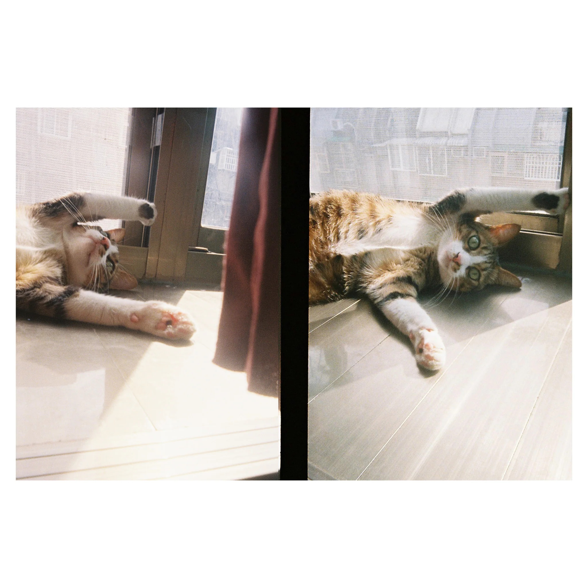 Компактный фотоаппарат Kodak Ektar H35 Black, черный