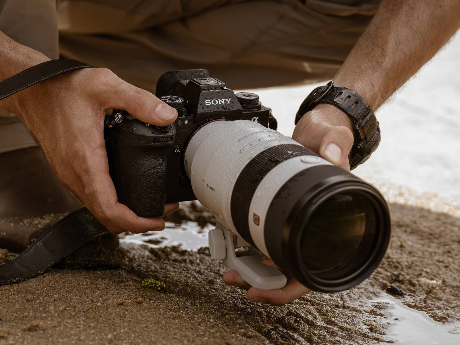 Беззеркальный фотоаппарат Sony a1 II Body
