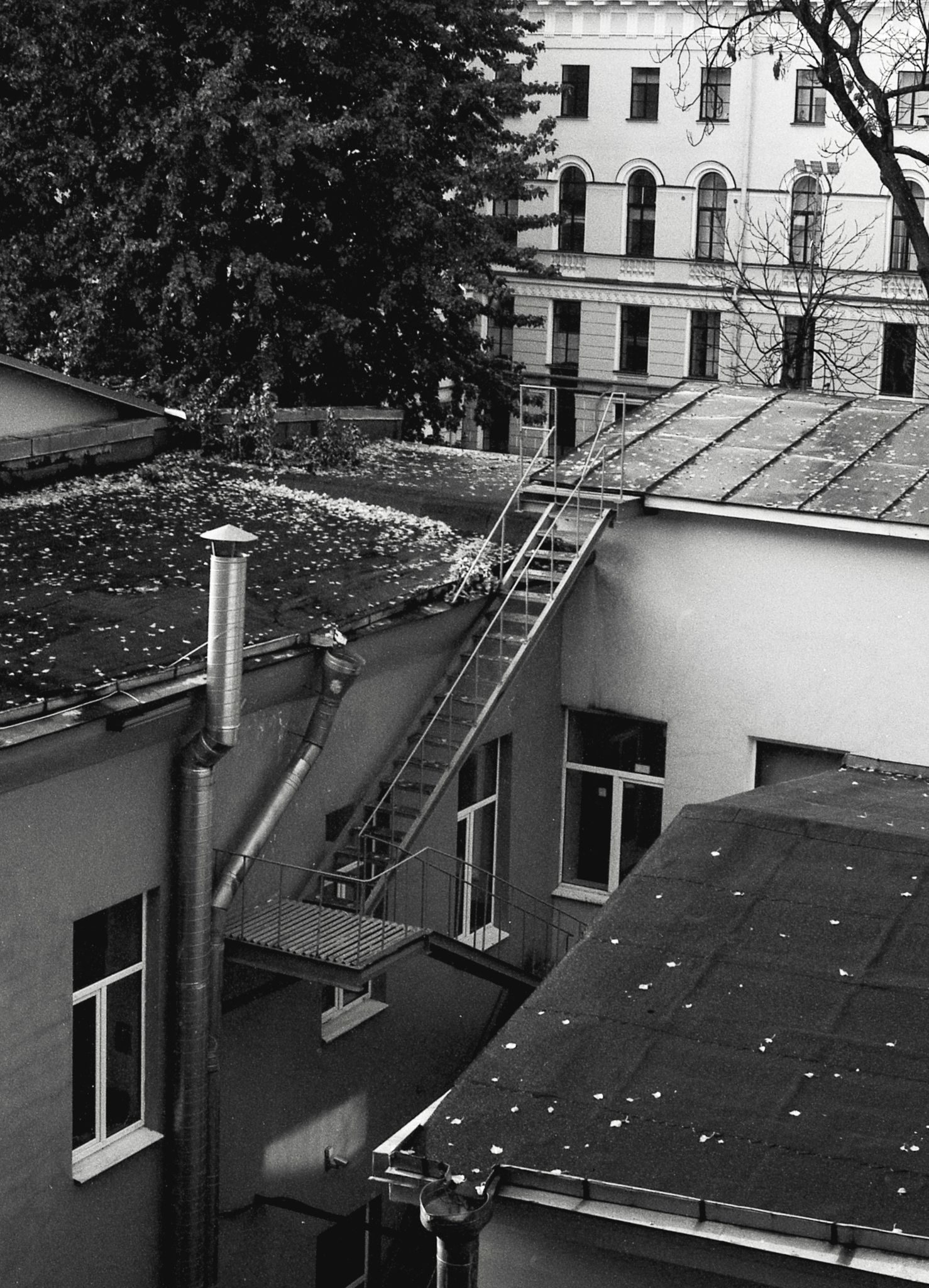 Фотопленка Silberra U200, ч/б негативная, 135 формат, 36 кадров