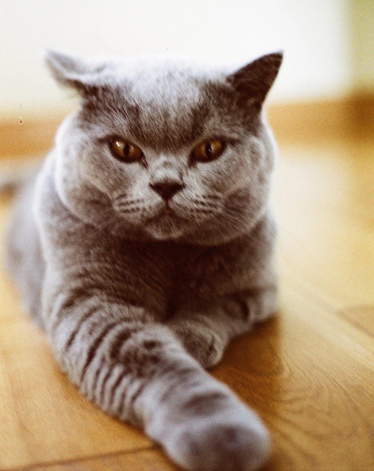 Фотопленка Lomography Lomochrome Metropolis XR 100-400 ISO, 135/36