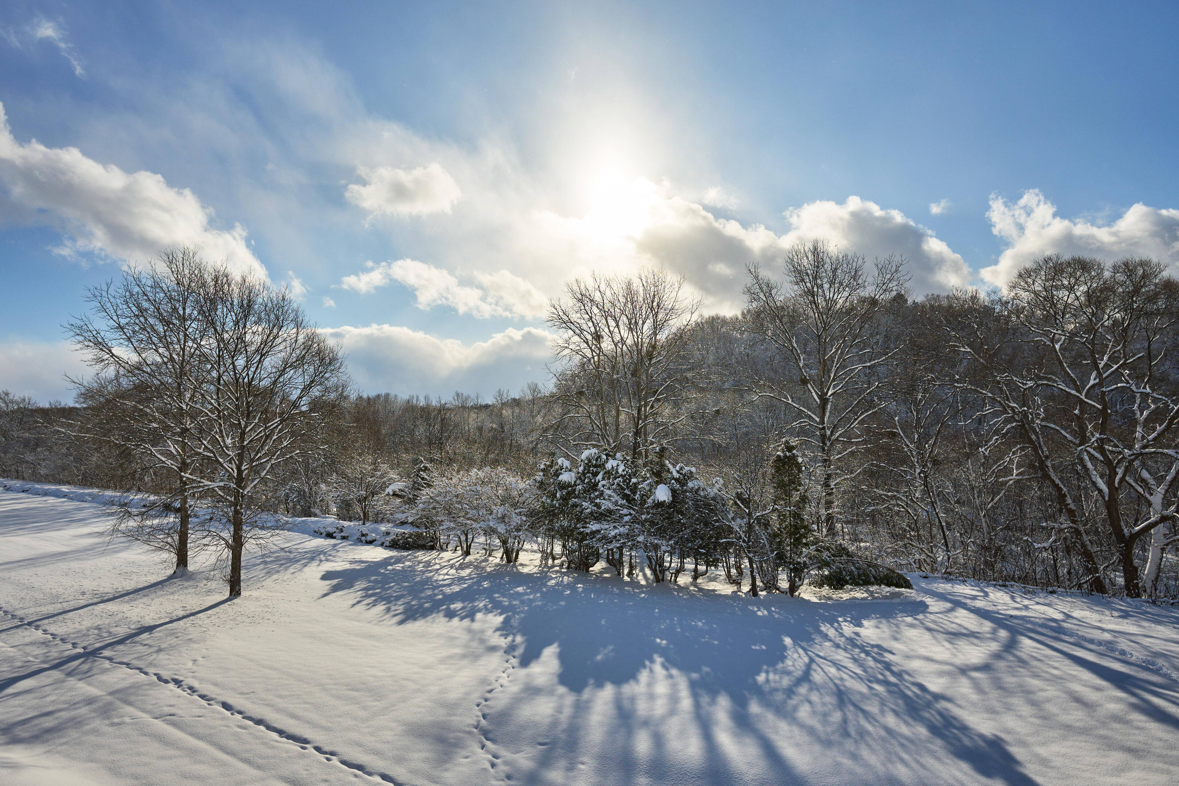 Объектив Sigma 15mm f/1.4 DC Contemporary Canon RF