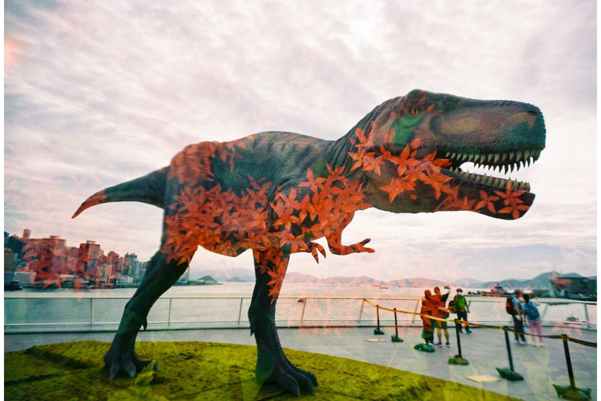 Фотоаппарат Lomography LomoApparat 21mm Wide-angle Camera Fluffy Omelet