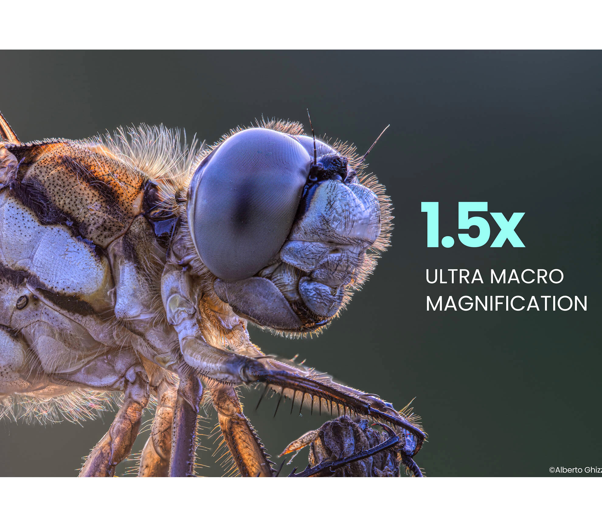 Объектив Laowa 180mm f/4.5 1.5x Ultra Macro APO Canon EF