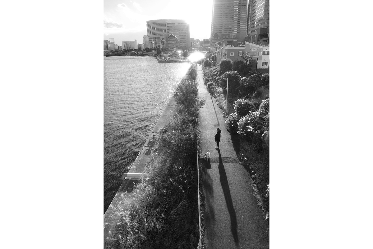 Компактный фотоаппарат Ricoh GR IIIx HDF