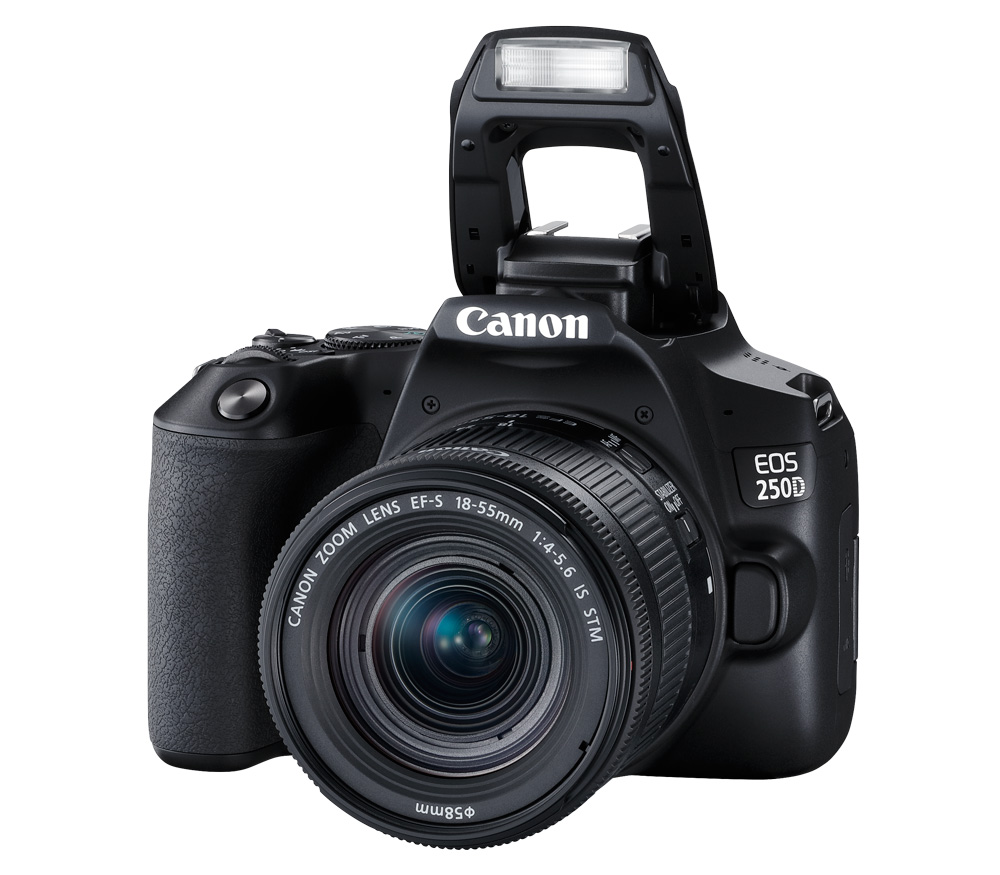 Зеркальный фотоаппарат Canon EOS 250D Kit Black + 18-55 IS STM (повреждена упаковка) (уцененный)