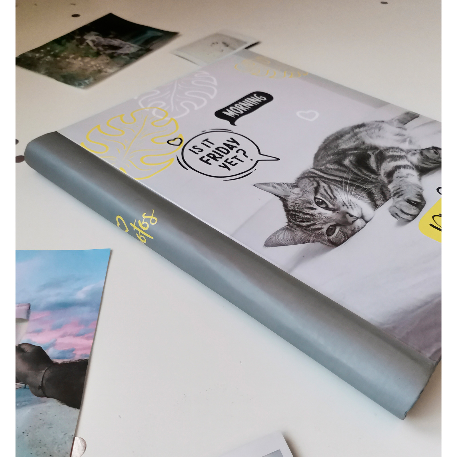 Фотоальбом Полином магнитный, 10 листов 23х28 см, «Fluffy pets» Муррр