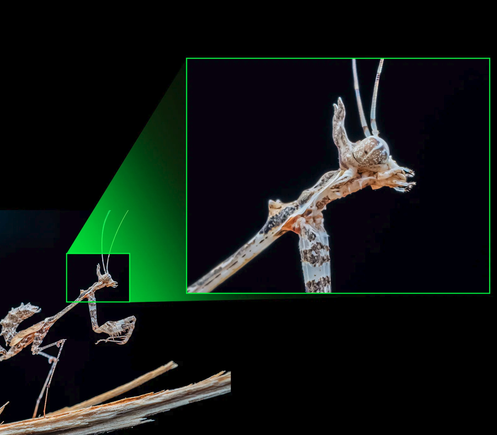 Объектив 7Artisans 60mm f/2.8 Macro 2x Sony FE