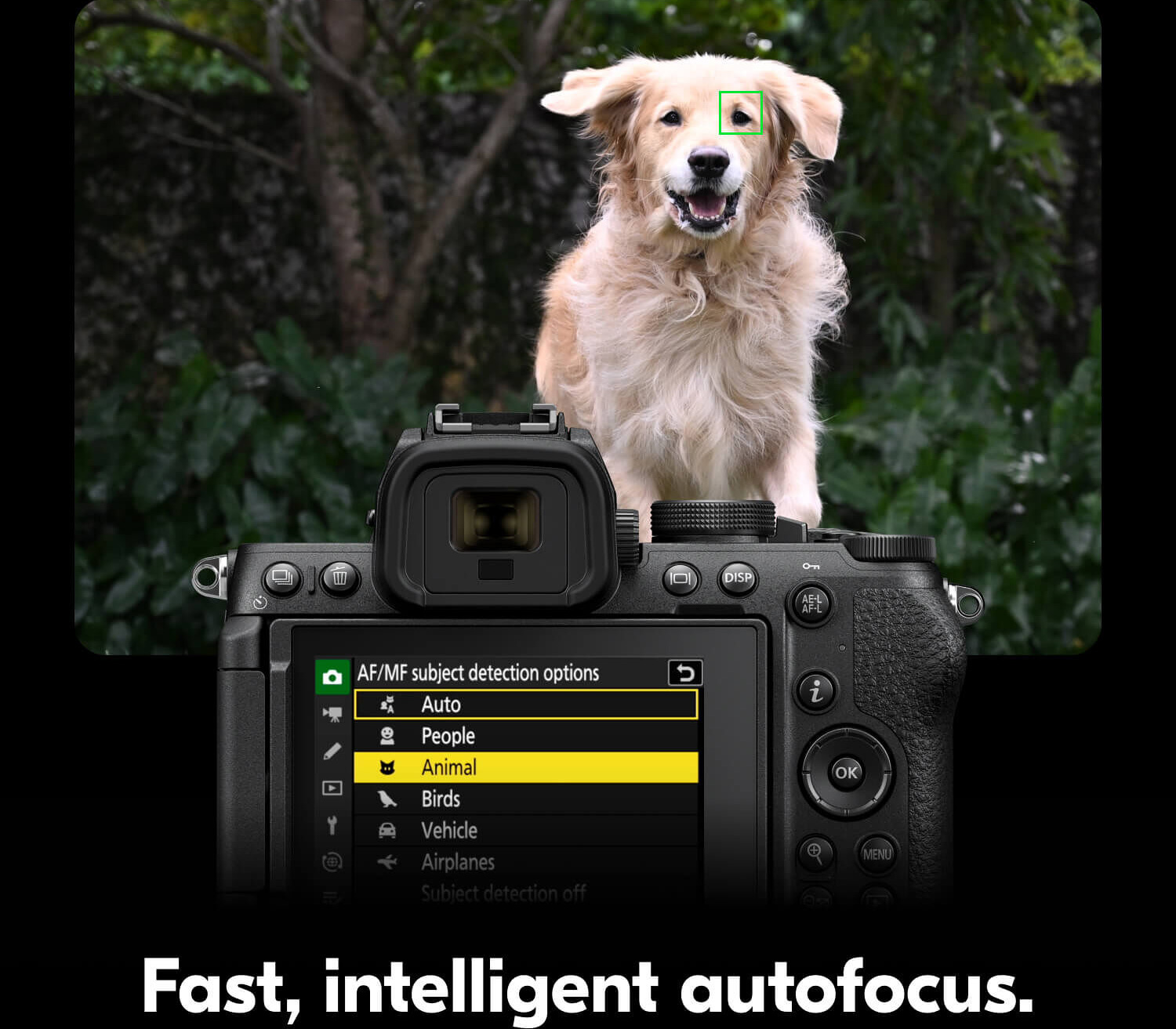 Беззеркальный фотоаппарат Nikon Z5 II Body