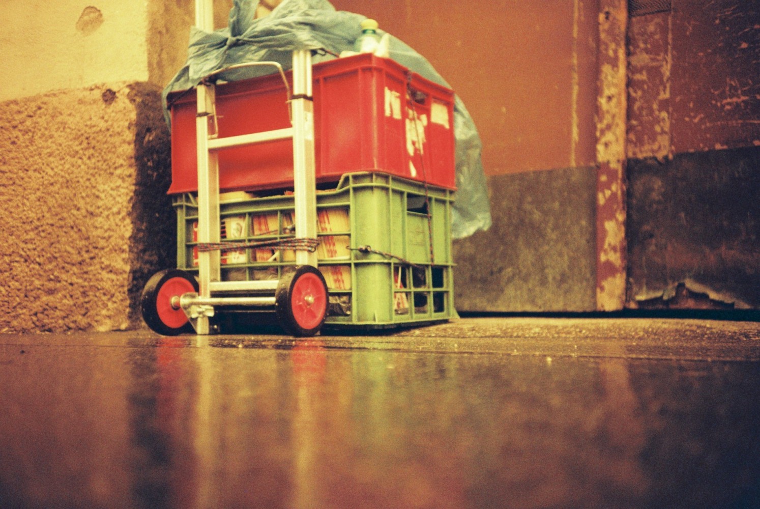 Фотопленка Lomography Redscale XR 50-200 ISO, 135/36, 3 шт.