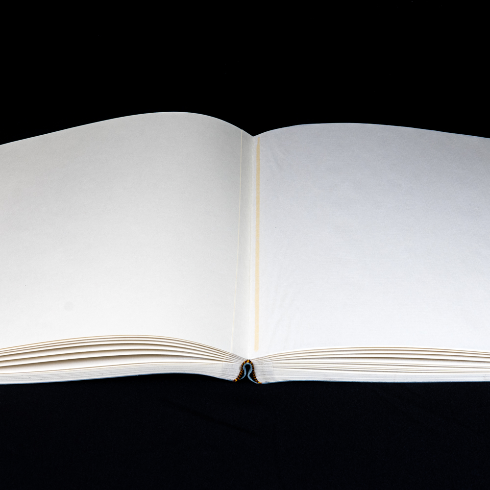 Фотоальбом Florentia Imilia 30x30см, 100 страниц, нат. кожа, зелёный