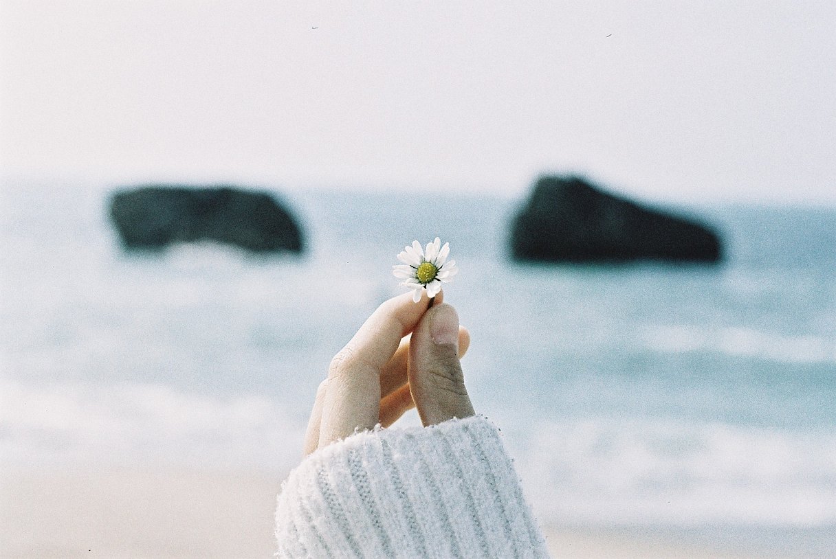 Фотопленка Lomography Lomochrome Metropolis XR 100-400 ISO, 135/36