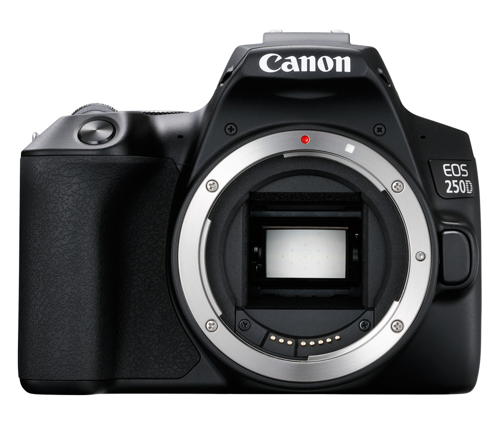 Зеркальный фотоаппарат Canon EOS 250D Kit 18-55 IS STM, черный (уцененный)
