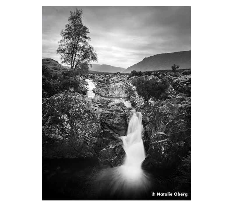 Фотопленка Ilford ORTHO Plus 80, 36 кадров (уцененный)