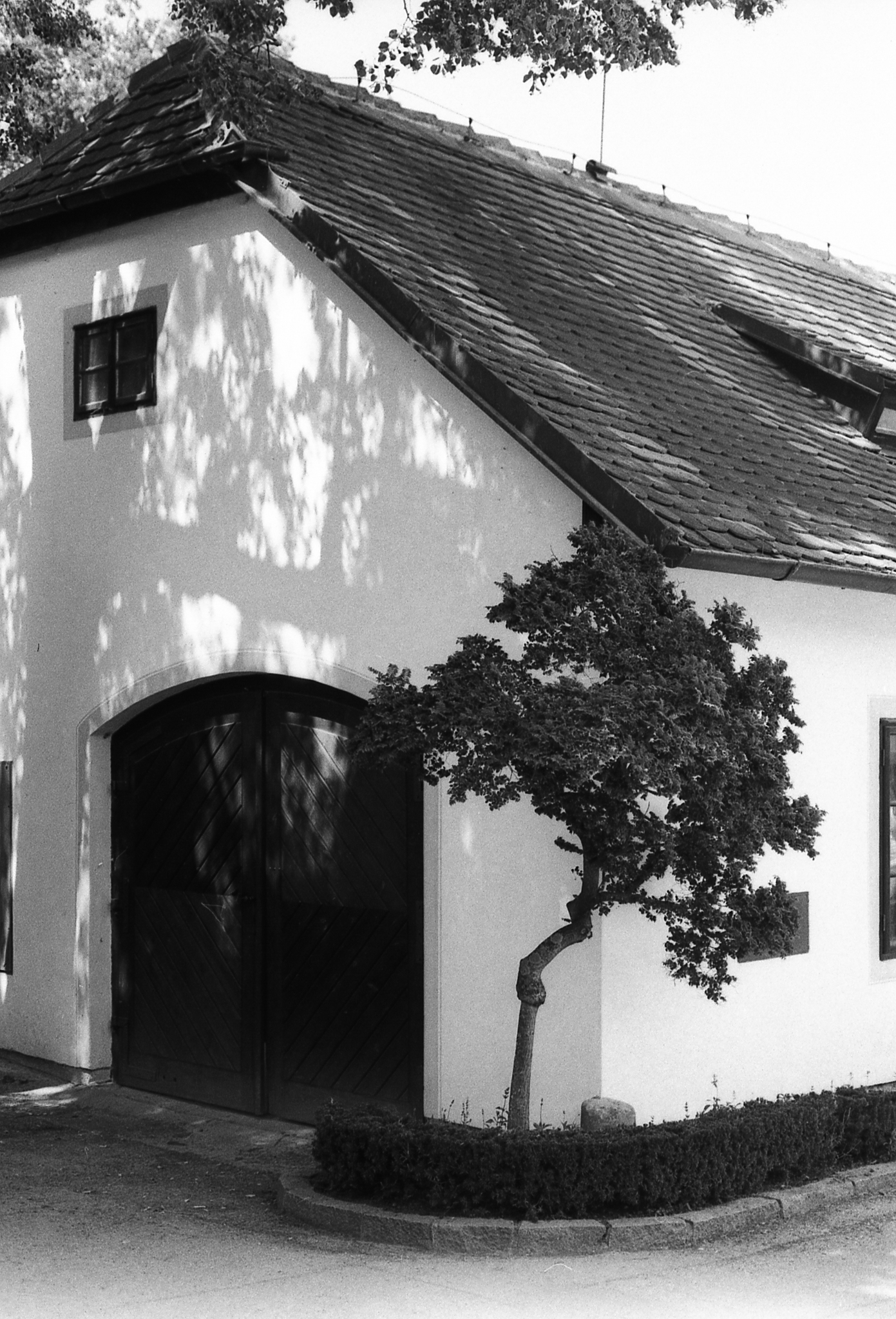 Фотопленка Silberra U200, ч/б негативная, 135 формат, 36 кадров