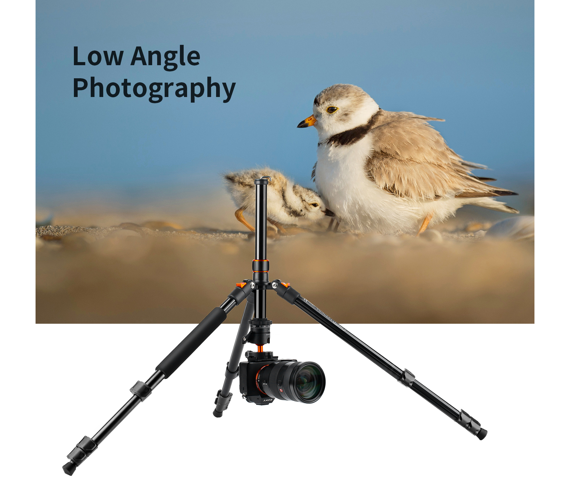 Штатив K&F Concept K234A1 с шаровой головой BH-28L