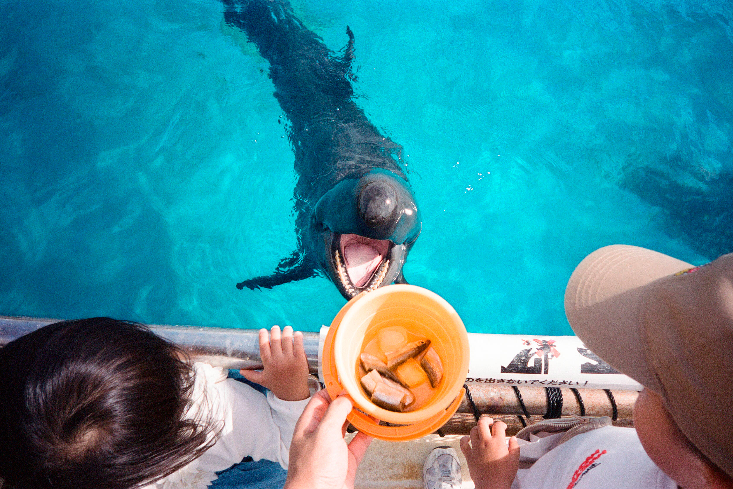 Компактный фотоаппарат Kodak Snapic A1 Rhino Grey