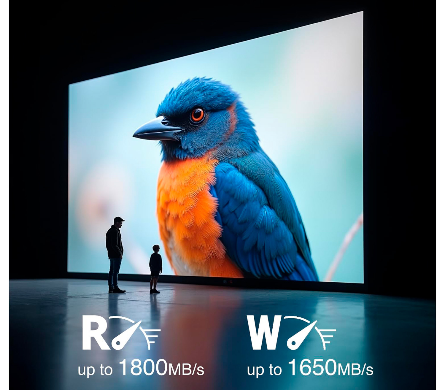 Карта памяти Silicon Power CFexpress Type B 800GB StudioPro VPG400 (R1800/W1650)