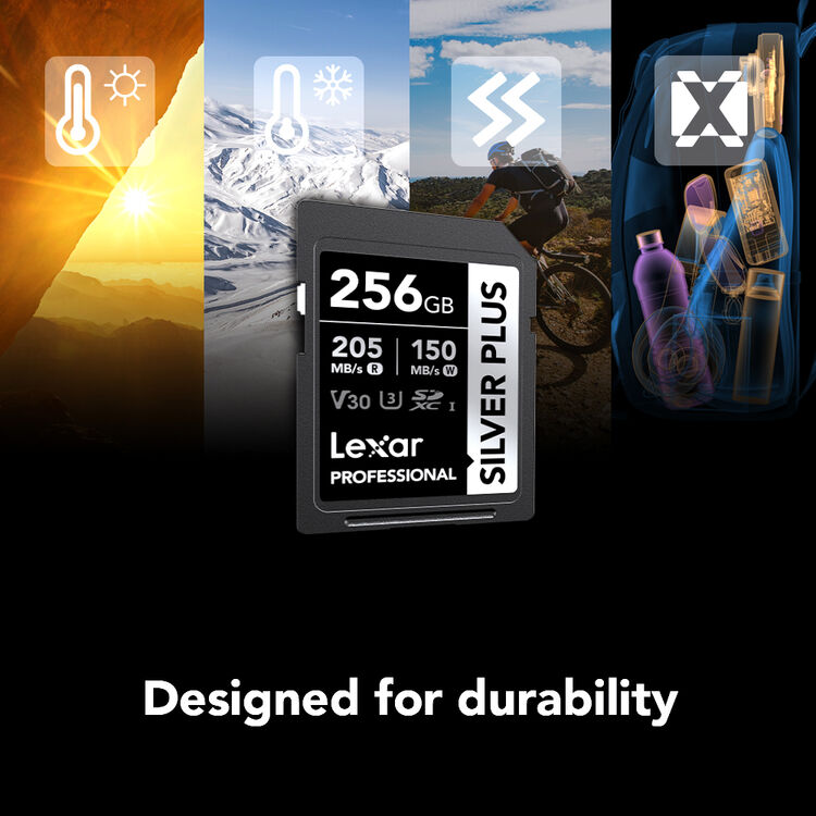Карта памяти Lexar SDXC 256GB Professional Silver Plus UHS-I U3 V30 (205/150 MB/s)