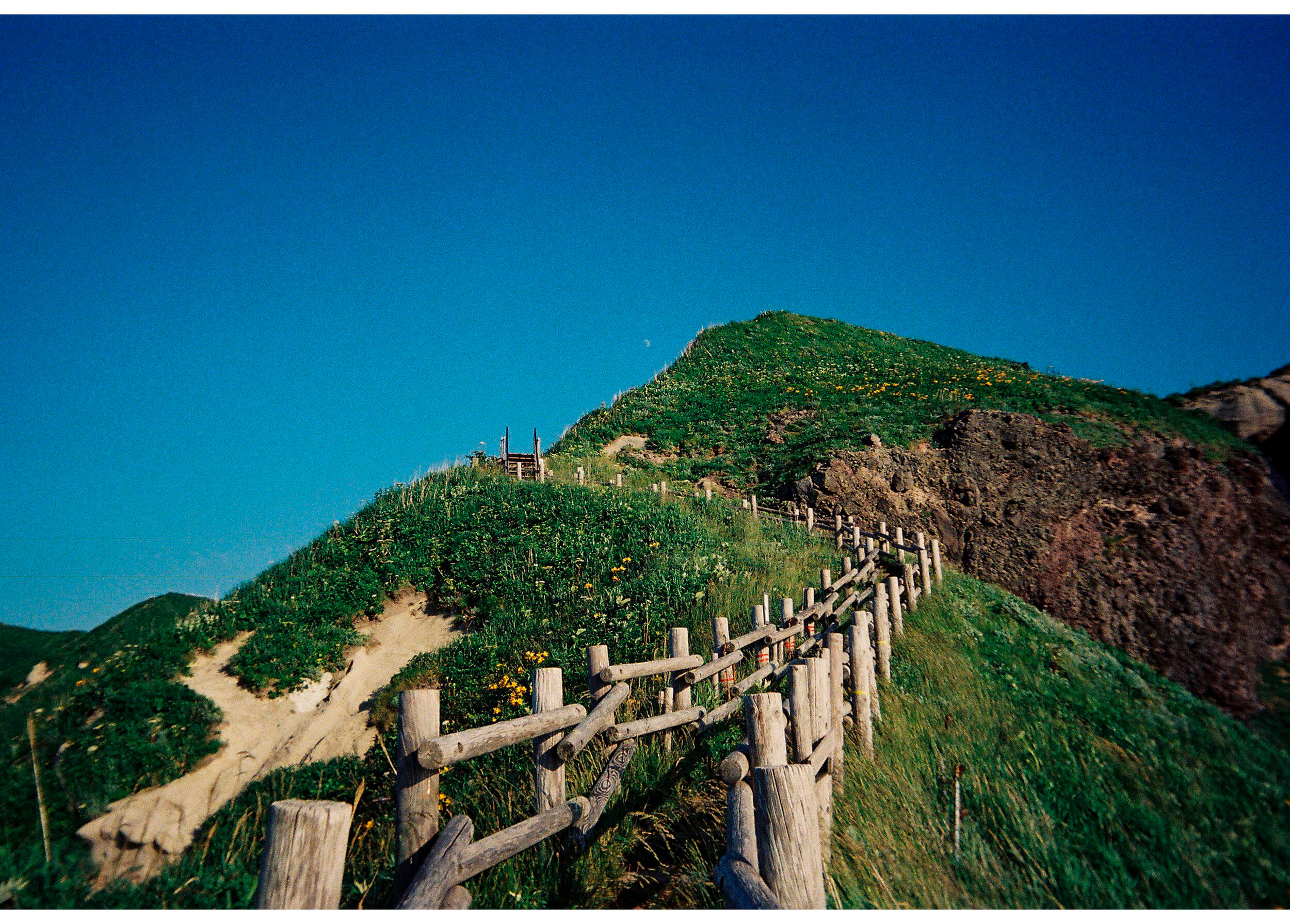 Фотоаппарат пленочный Kodak EC35 Film Camera Avocado Green