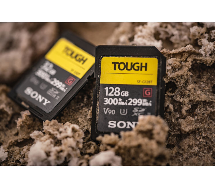 Карта памяти Sony SDXC 256GB Tough UHS-II 299/300Mb/s U3 V90 (SF-G256T)