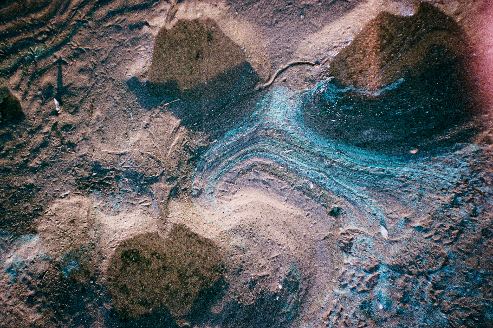 Фотопленка Silberra COLOR160 C-41 135, 36 кадров