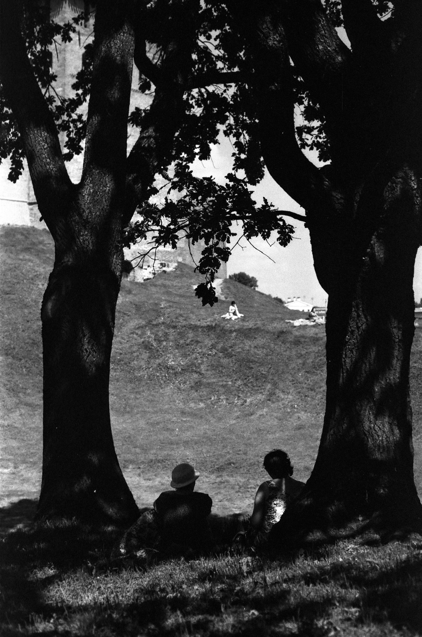 Фотопленка Silberra PAN 100, 36 кадров