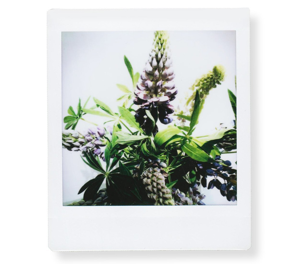 Картридж Fujifilm Instax SQUARE, 10 снимков