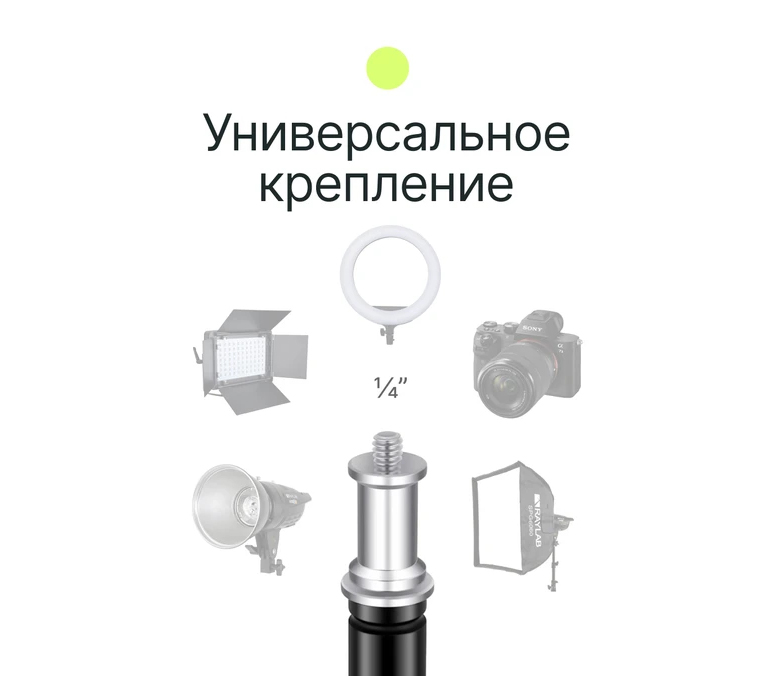 Стойка Raylab LS001, 220 см, до 3 кг, с пружинной амортизацией