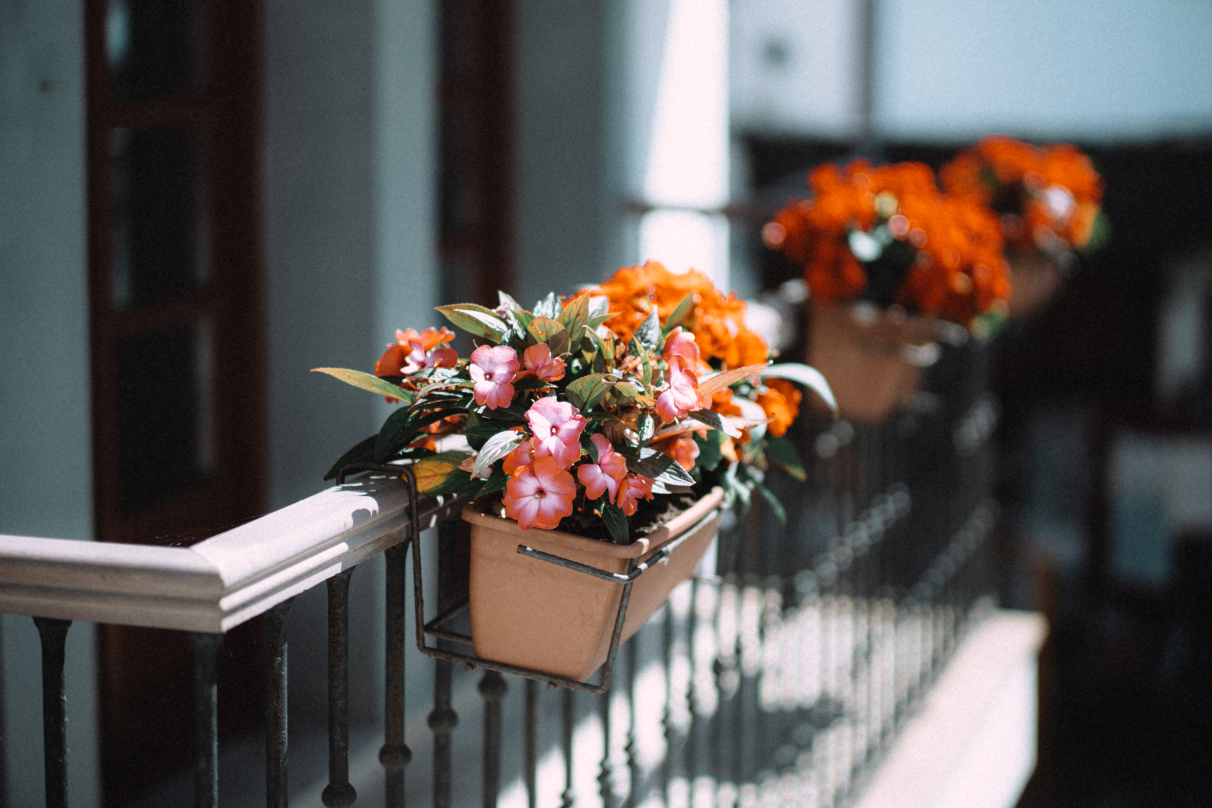 Объектив 7Artisans 75mm f/1.4 V2 Canon RF