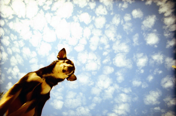 Пленочный фотоаппарат Lomography LC-Wide