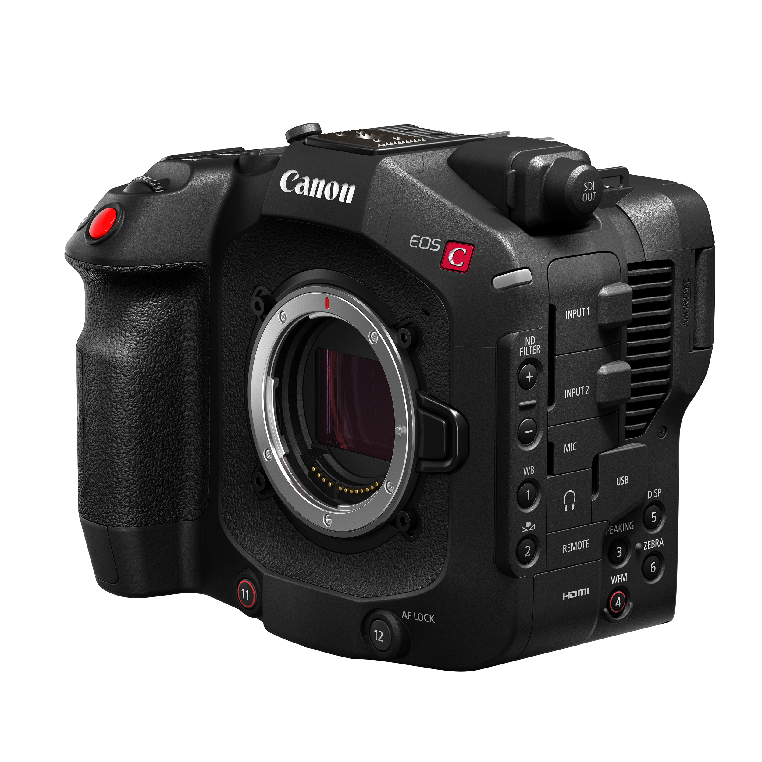 Видеокамера со сменной оптикой Canon EOS C80