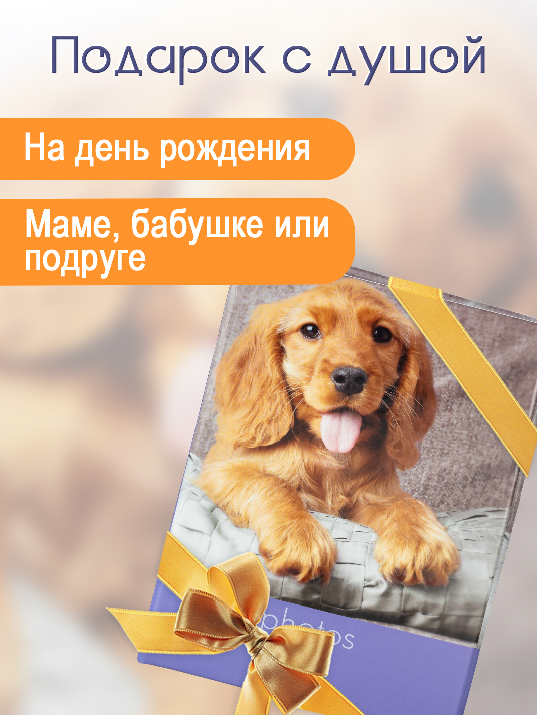 Фотоальбом Fotografia 10x15 см  100 фото, «Животные», FA-PP100-212