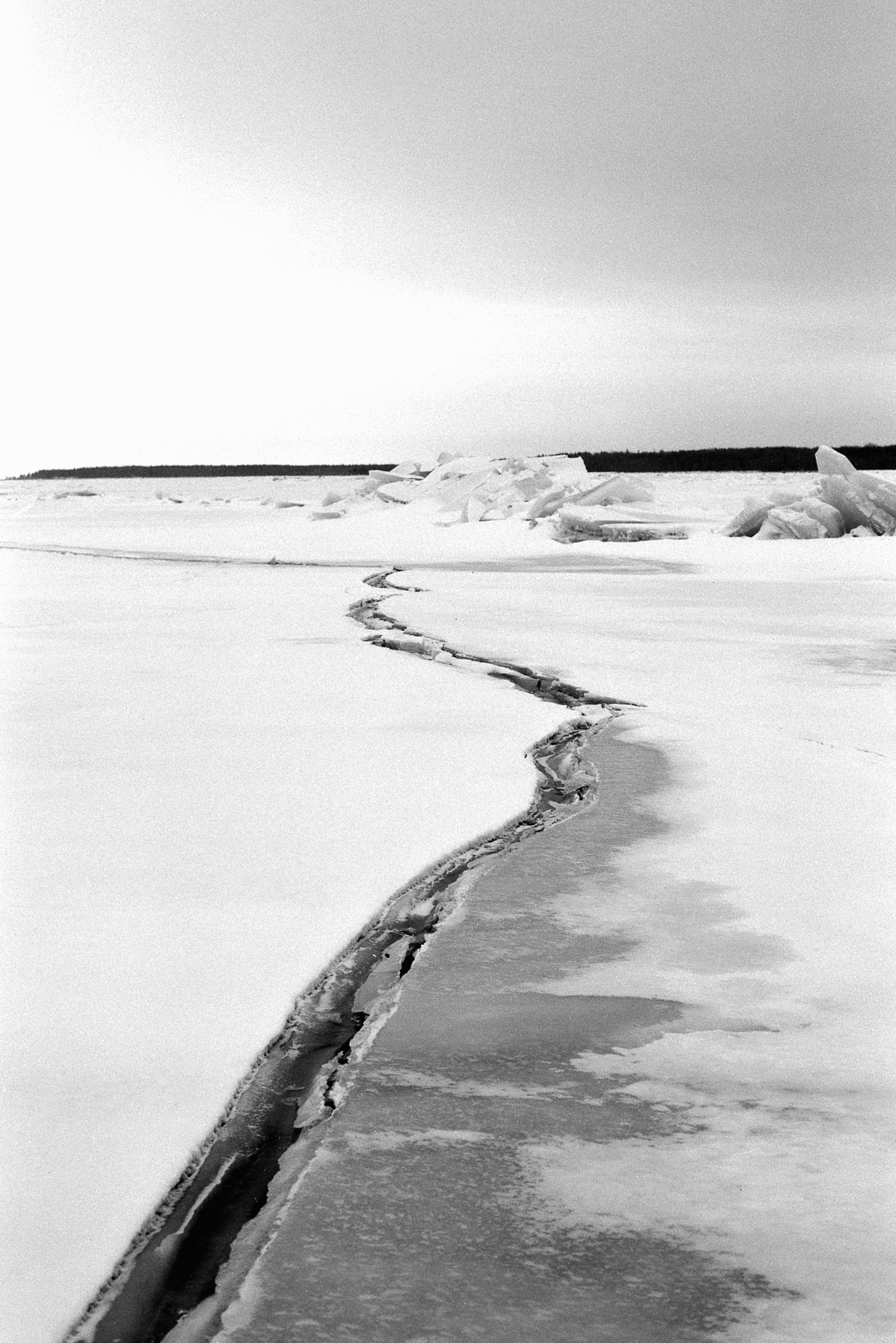 Фотопленка Silberra U200, ч/б негативная, 135 формат, 36 кадров