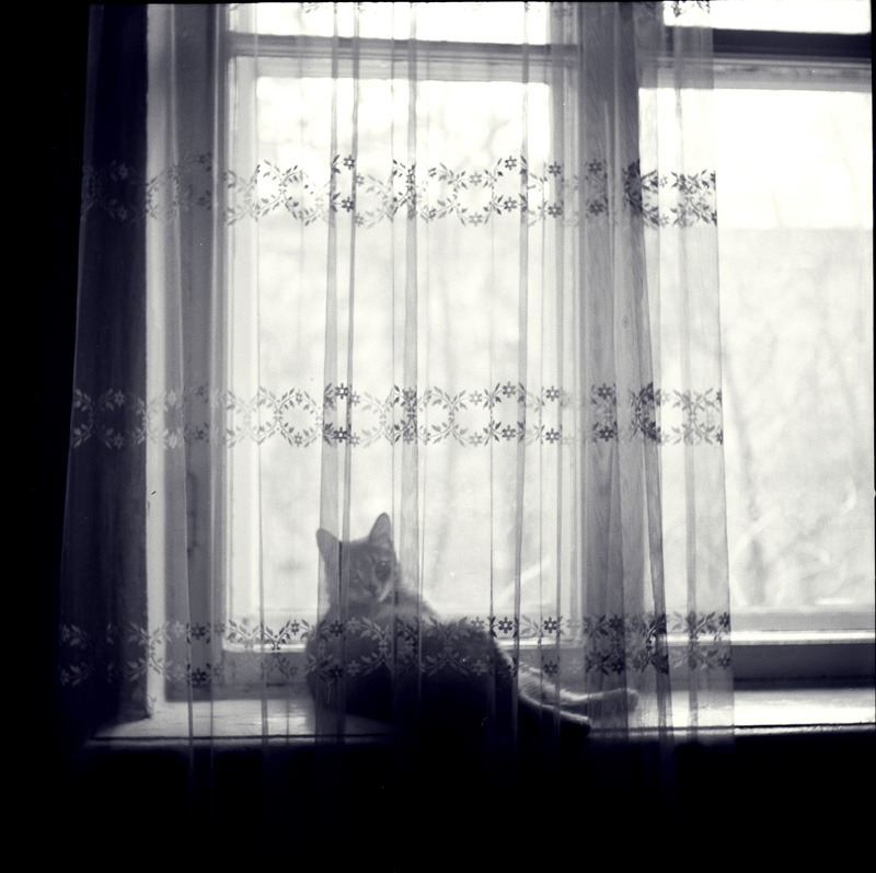 Фотопленка Foma Fomapan 100 Classic 135, 36 кадров