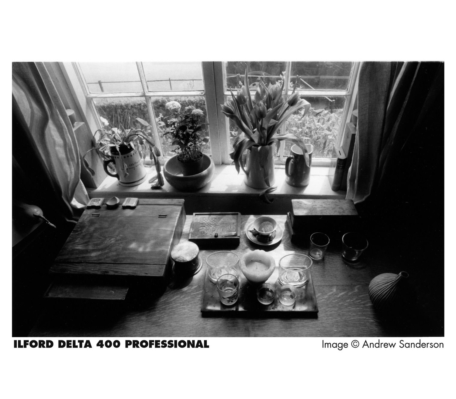 Фотопленка Ilford DELTA 400, 36 кадров