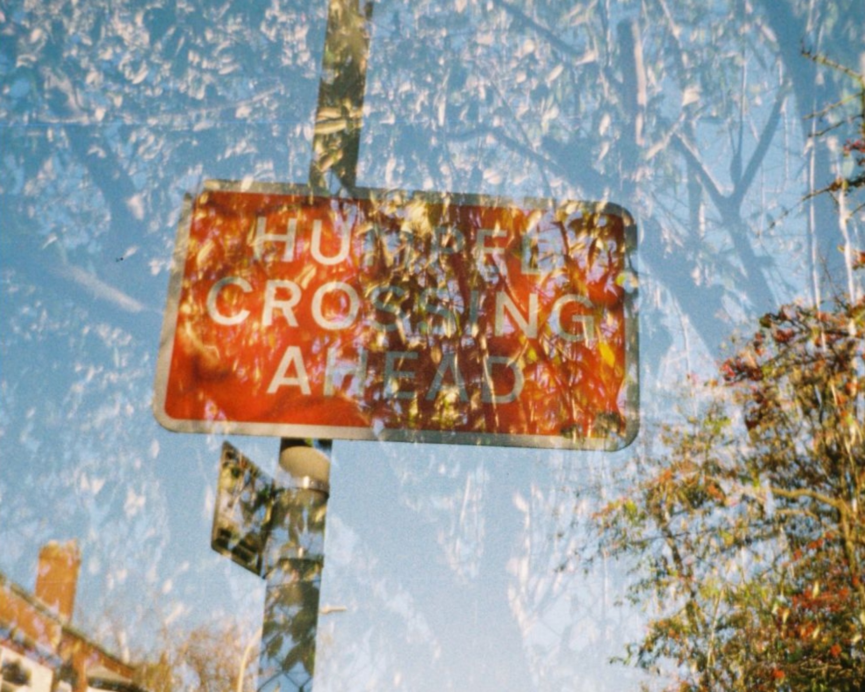 Фотоаппарат Lomography Lomomatic 110 Camera Golden Gate Edition