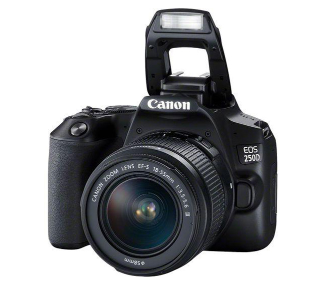 Зеркальный фотоаппарат Canon EOS 250D Kit EF-S 18-55 DC III (уцененный)