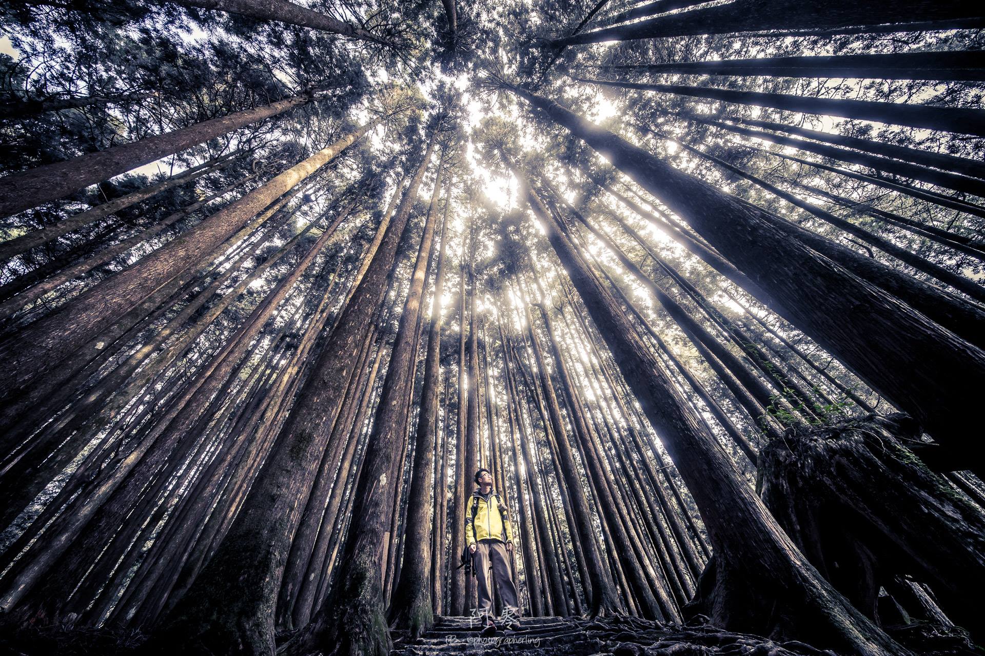 Объектив Laowa 12mm f/2.8 Lite Zero-D FF Auto Focus Sony FE