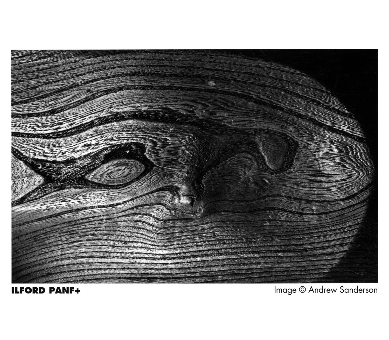 Фотопленка Ilford PAN F PLUS 50, 36 кадров (уцененный)