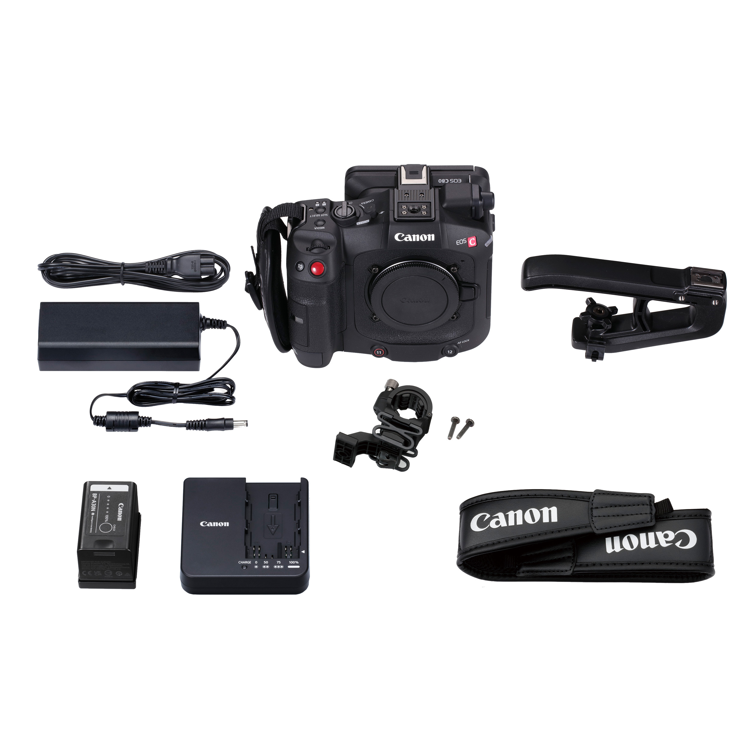 Видеокамера со сменной оптикой Canon EOS C80