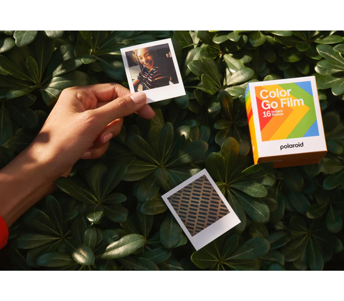Картридж Polaroid Go Color Film Double Pack, 2 х 8 снимков (уцененный)