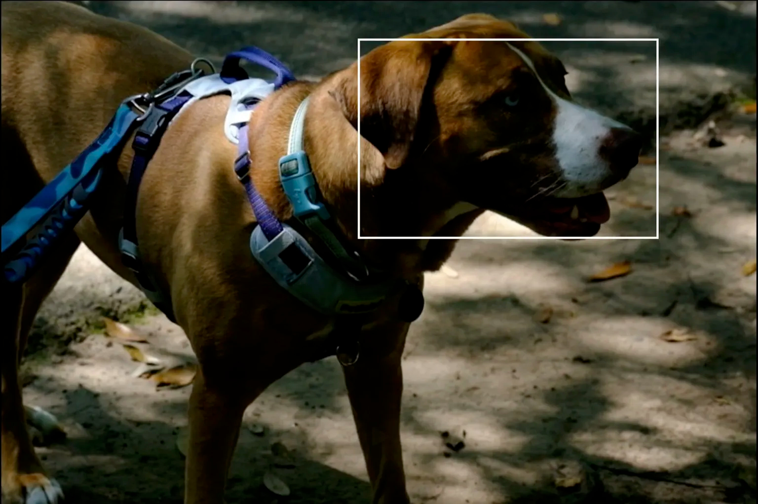 Беззеркальный фотоаппарат Fujifilm X-T30 III Body, черный