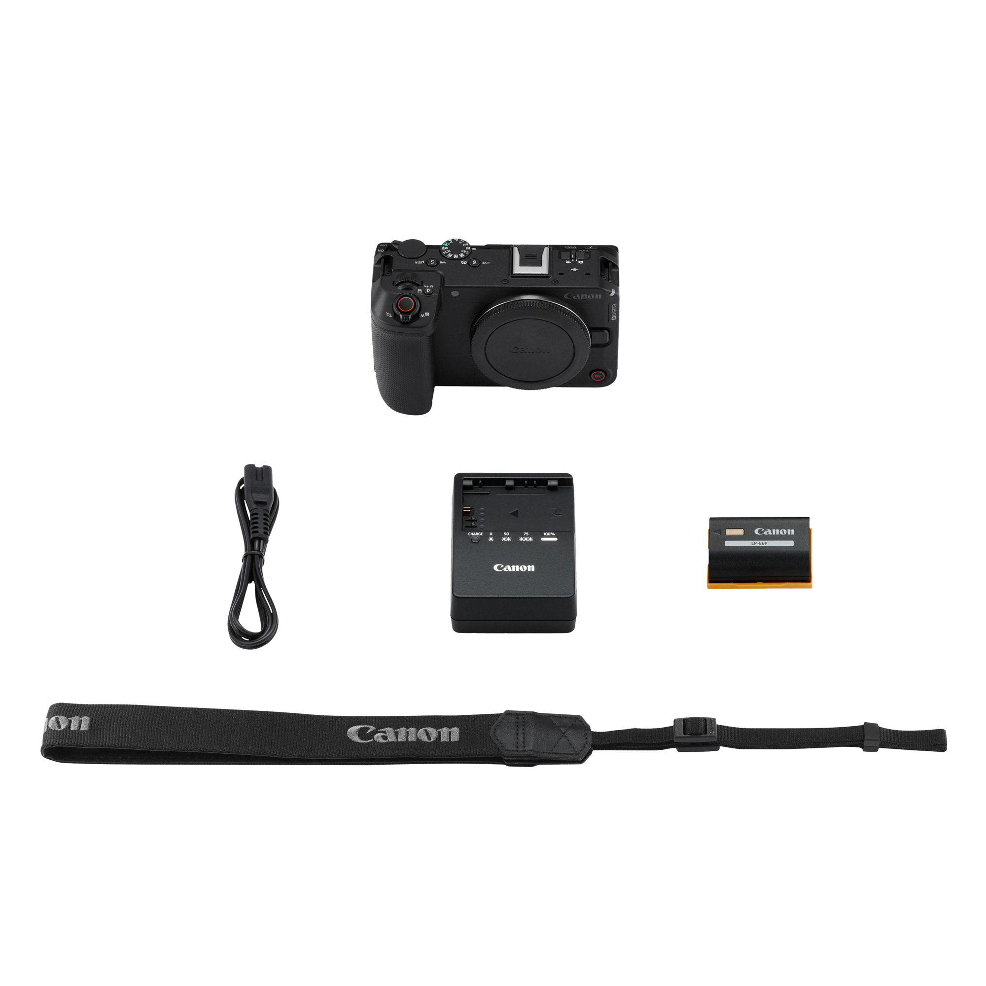Беззеркальный фотоаппарат Canon EOS R6 V Body