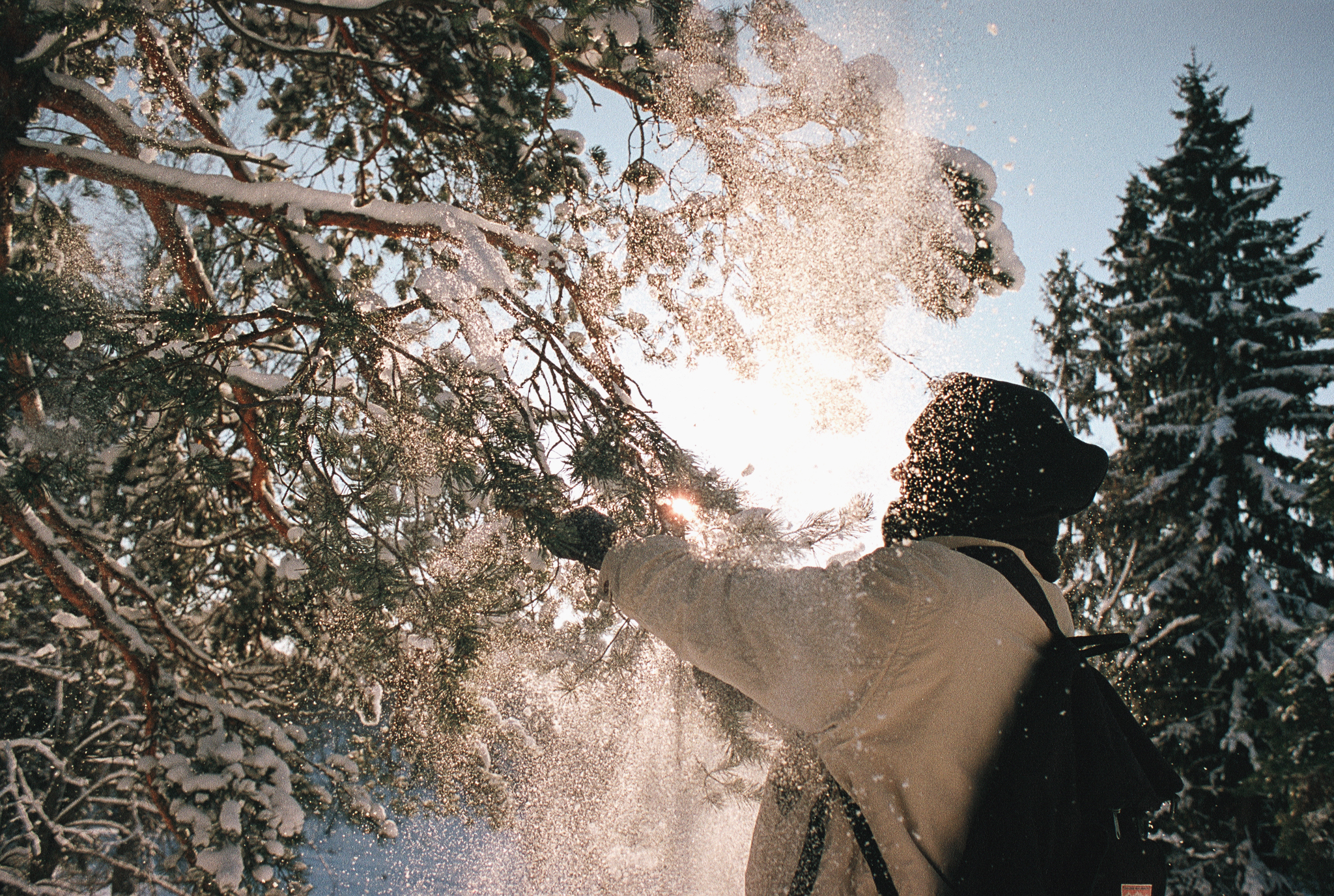 Фотопленка Silberra COLOR160 C-41 135, 36 кадров