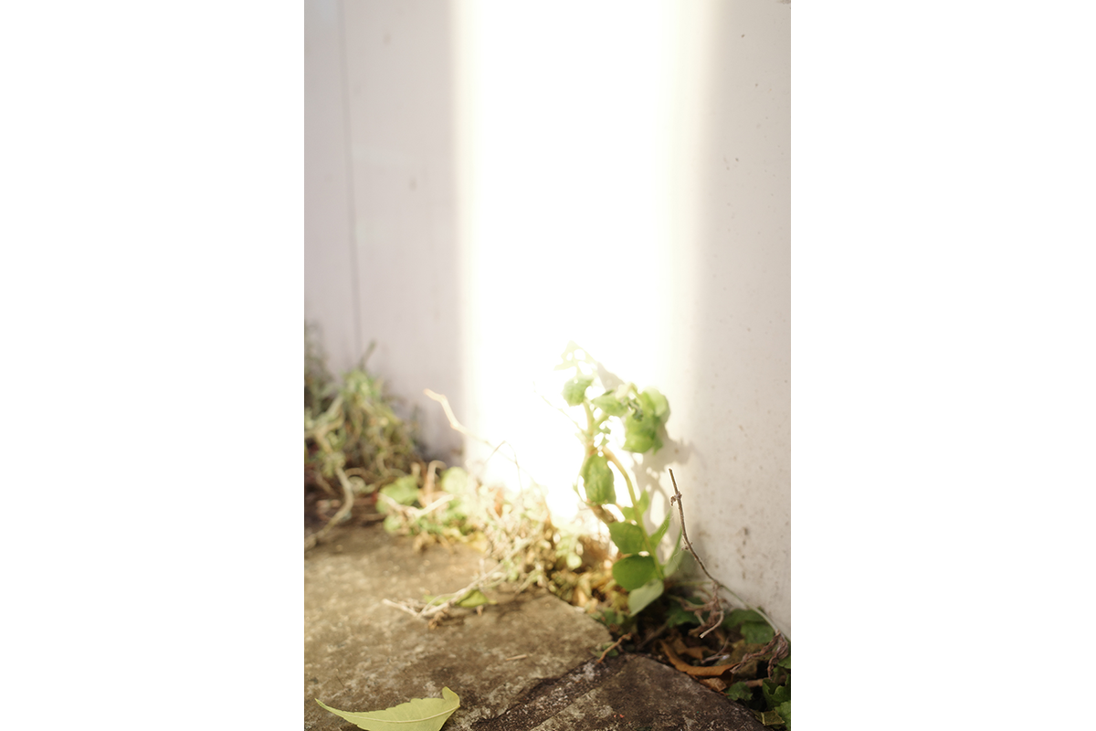 Компактный фотоаппарат Ricoh GR IIIx HDF