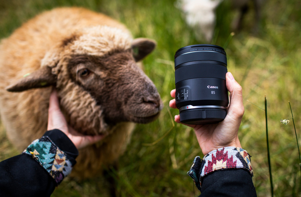 Объектив Canon RF 85mm f/2 Macro IS STM